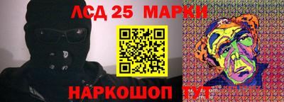 ГАЛЛЮЦИНОГЕННЫЕ ГРИБЫ Свободный